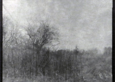 “Farm Field, Somerset, NJ”, gelatin silver contact print from paper negative by Patricia A. Bender