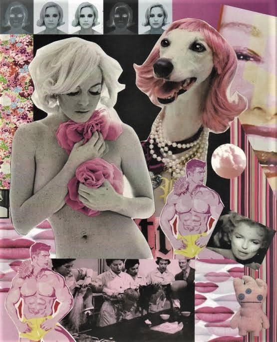 Luis Alves: Collage  – “Attention “Poverty” (Pink)” hand made collage