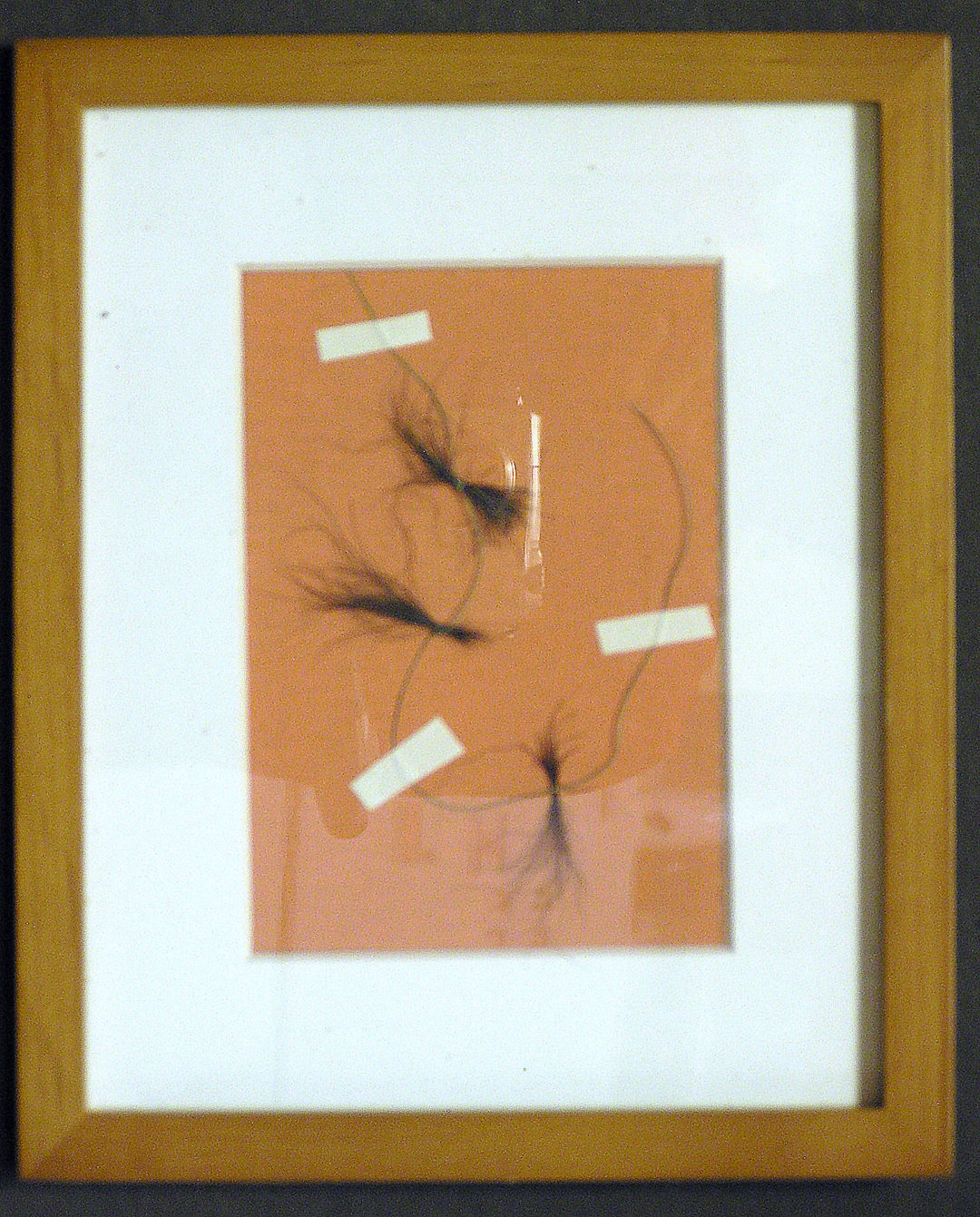 Peter Arakawa  – “Self Portrait” pubic hair, fishing line on canvas board