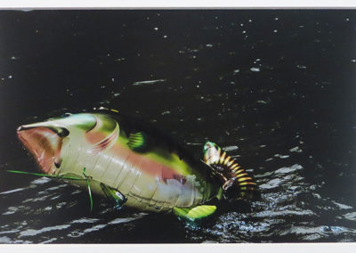 Christine Anderson – “Catch of the Day” (Inflatables) Epson ultra smooth fine art paper, matte