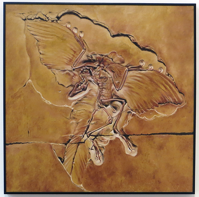 “Fossil 2” Neil Besignano   -oil on canvas