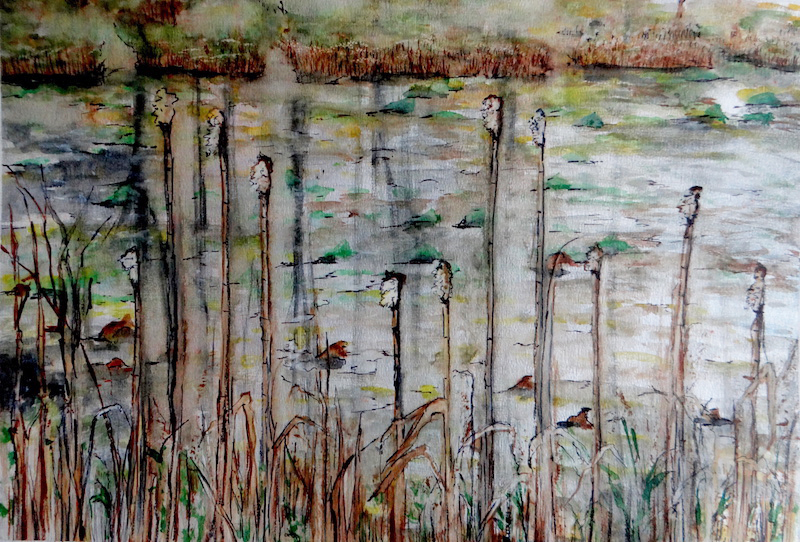 Virginia Carroll  “Swamp Reeds” watercolor on paper