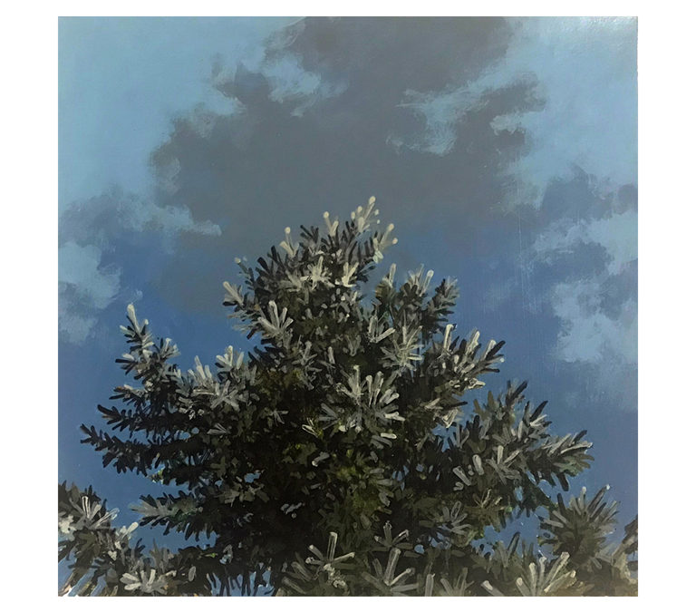 Daniel Gluibizzi  – “Blue Spruce 05”
