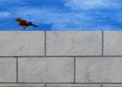 “Wall With Darwin’s Finch” acrylic on canvas, 24” H x 42” W, $800.00