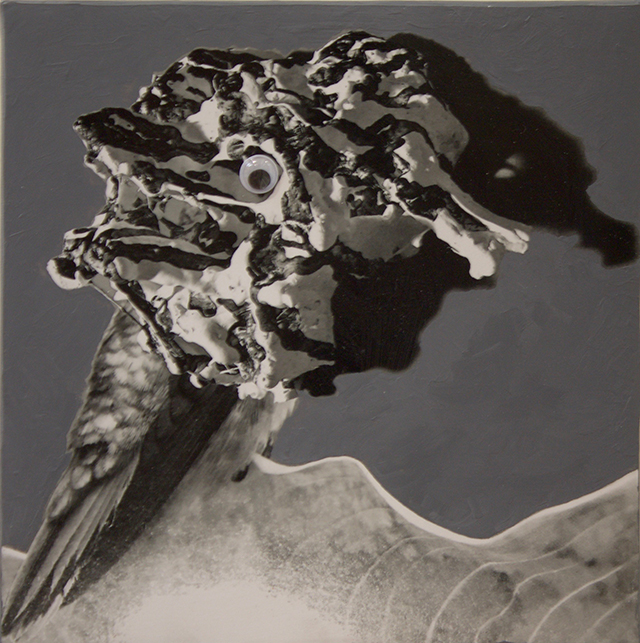 Janice Gossman “Bird Cone” mixed media, photo, acrylic, googley-eye on canvas