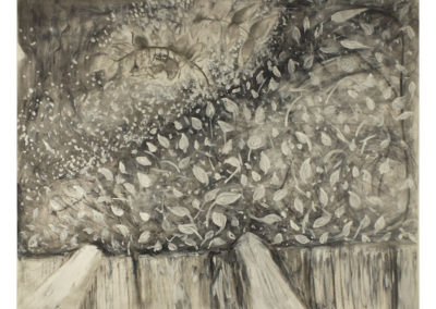 Shannon DeAngelis  “View of the Garden”  charcoal and acrylic paint on paper
