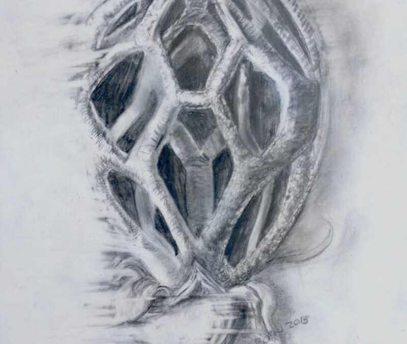 Dorothea Osborn “Encompass”, graphite on mylar, framed size 18”H  x 15”W, 2015 $250.00