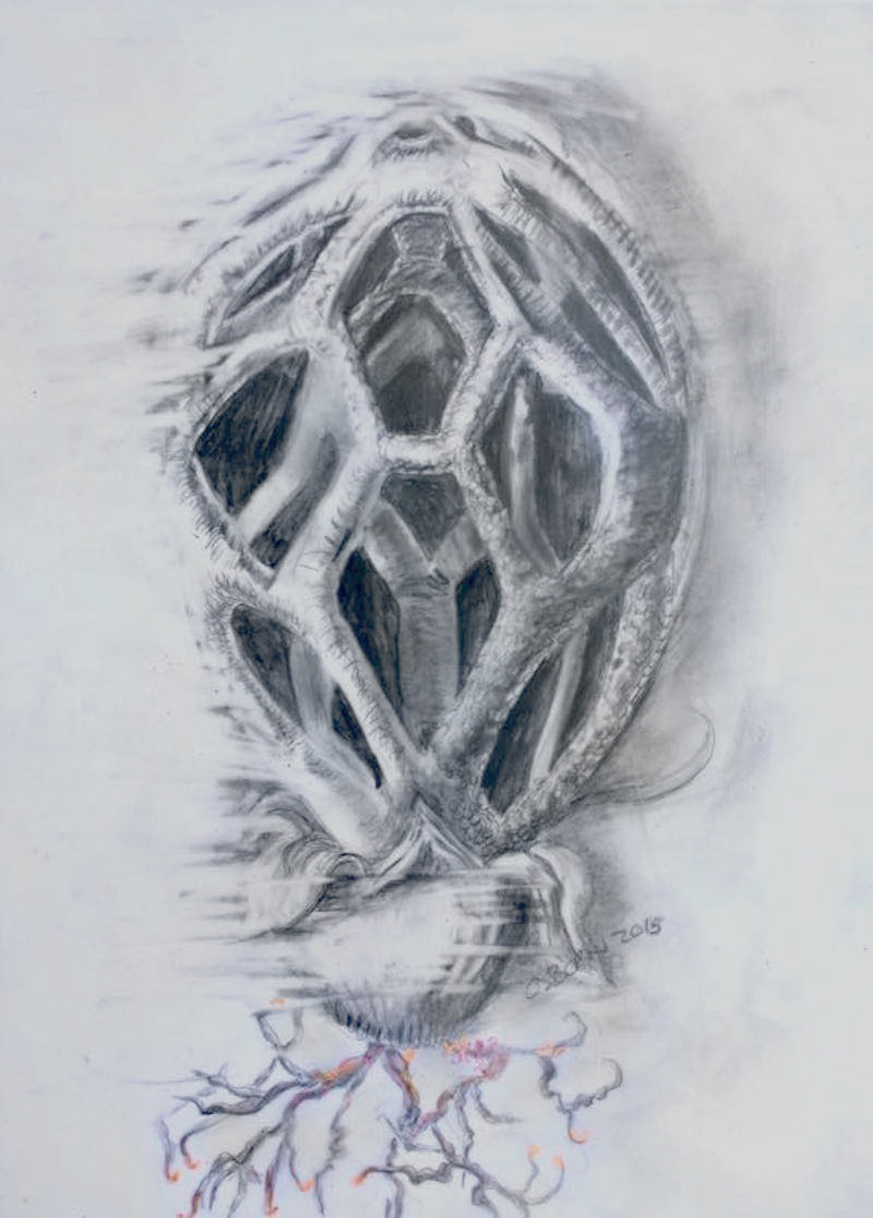 Dorothea Osborn “Encompass”, graphite on mylar, framed size 18”H  x 15”W, 2015 $250.00