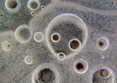 Bill Bonner “Bubbles in Ice” photo print, $35.00