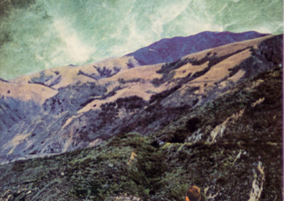 Eric Toscano “Untitled (Go Green III)” collage $150.00
