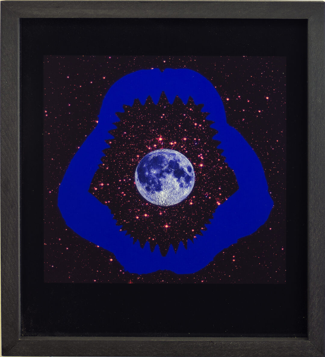 Larry McCandlish  – “Feeding Frenzy” digital art, inkjet dye on backlit paper, 11” x 11” 2021