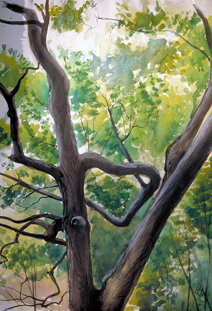 Brian McCormack  “Tree before the Storm”  watercolor