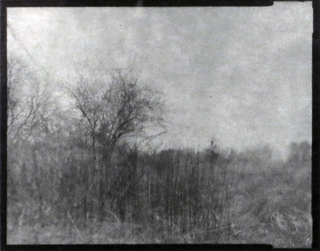 “Farm Field, Somerset, NJ”, gelatin silver contact print from paper negative by Patricia A. Bender