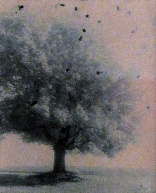 “Michigan Farm Tree”, unique oxidized gelatin silver print by Patricia A. Bender