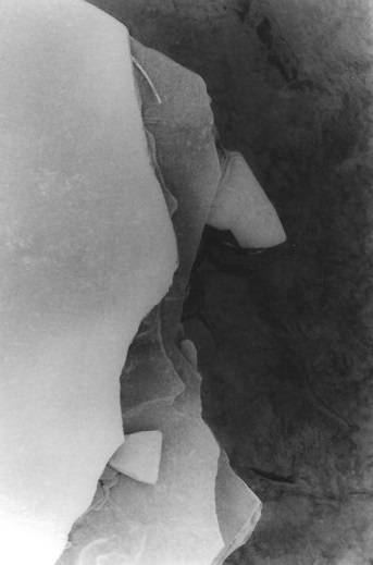“Four Mile Creek (2)”, oxidized gelatin silver print by Patricia A. Bender