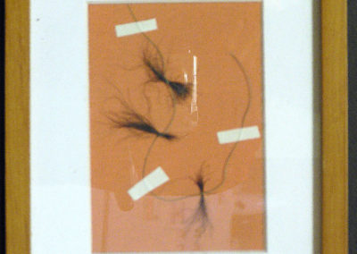 Peter Arakawa  – “Self Portrait” pubic hair, fishing line on canvas board