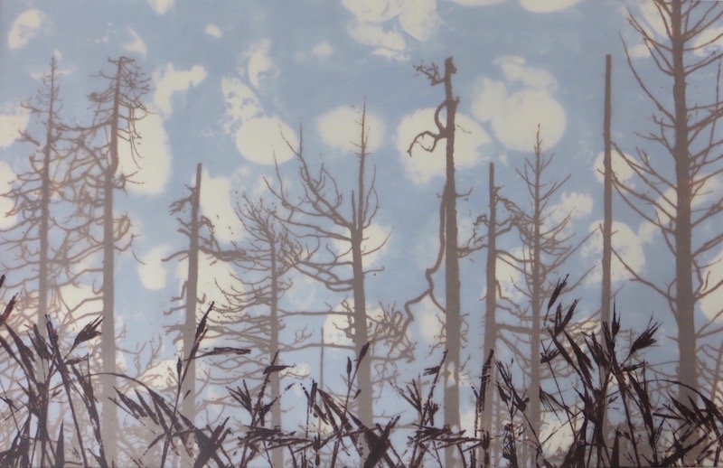 Jean Burdick “Crested Wheatgrass” silk screen on vellum,