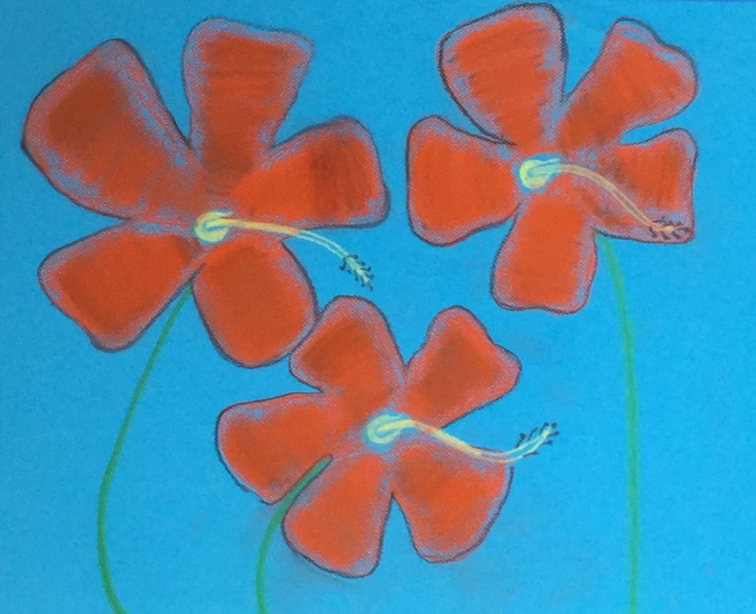 Kemar Ellis   “Hibiscus”  pastel on paper
