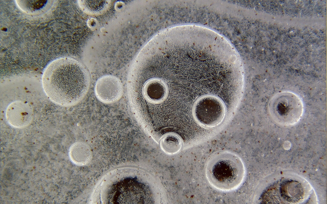 Bill Bonner “Bubbles in Ice” photo print, $35.00