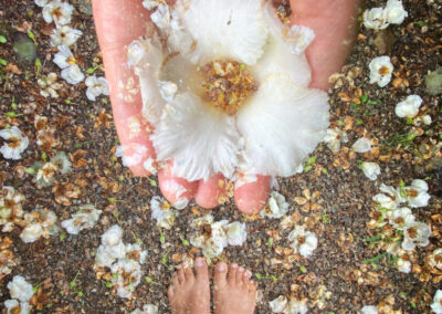 Parvathi Kumar “Hand to Foot” photograph on maple board, $195.00