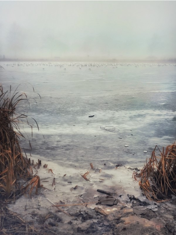 Peichi Waite “Dreamland 2” photograph, 20” H x 16”W $175.00