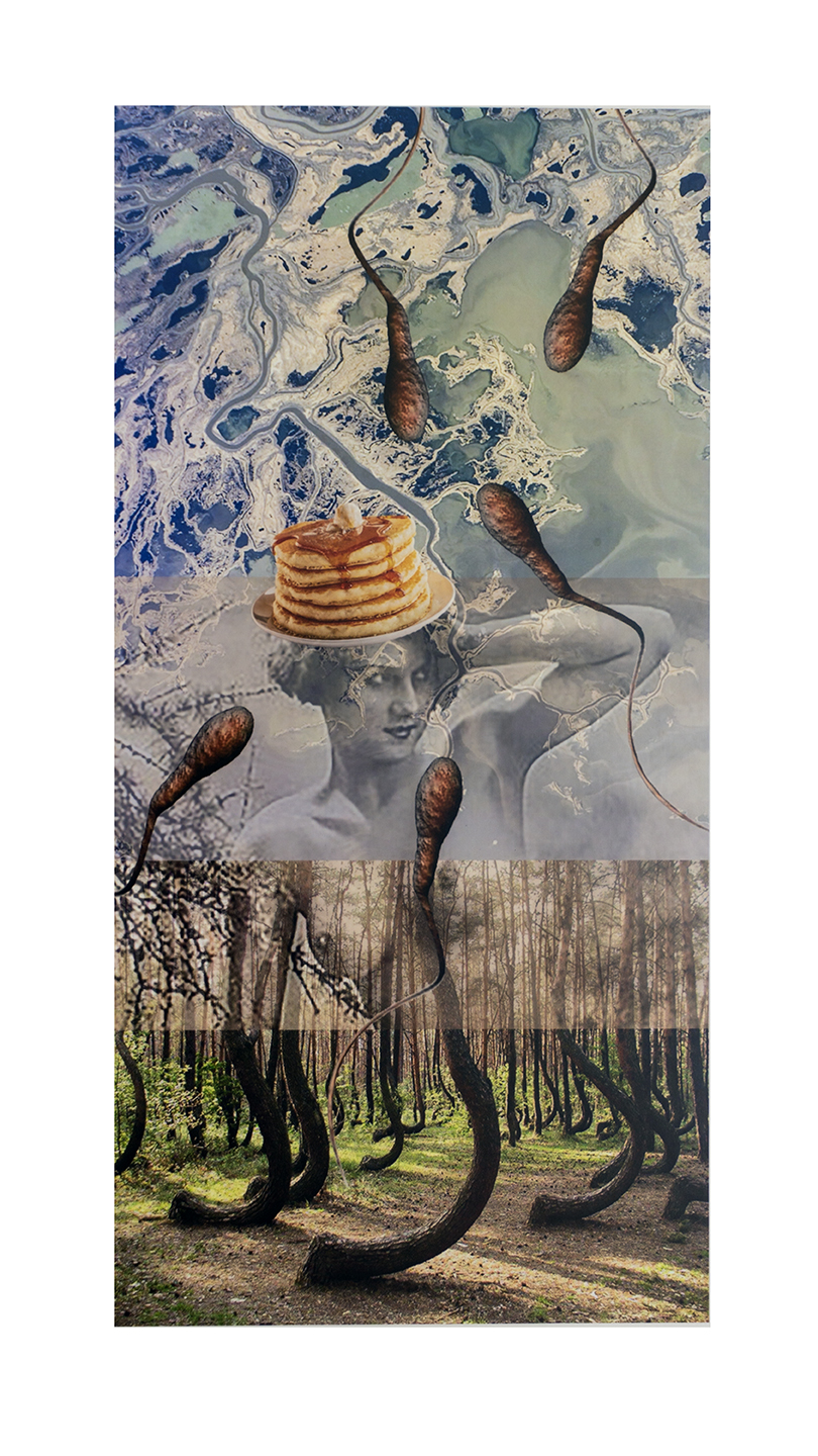 Lisa Gordon Cameron “Seminal” digital collage, 20”w x 30” H, 2019, $225.00