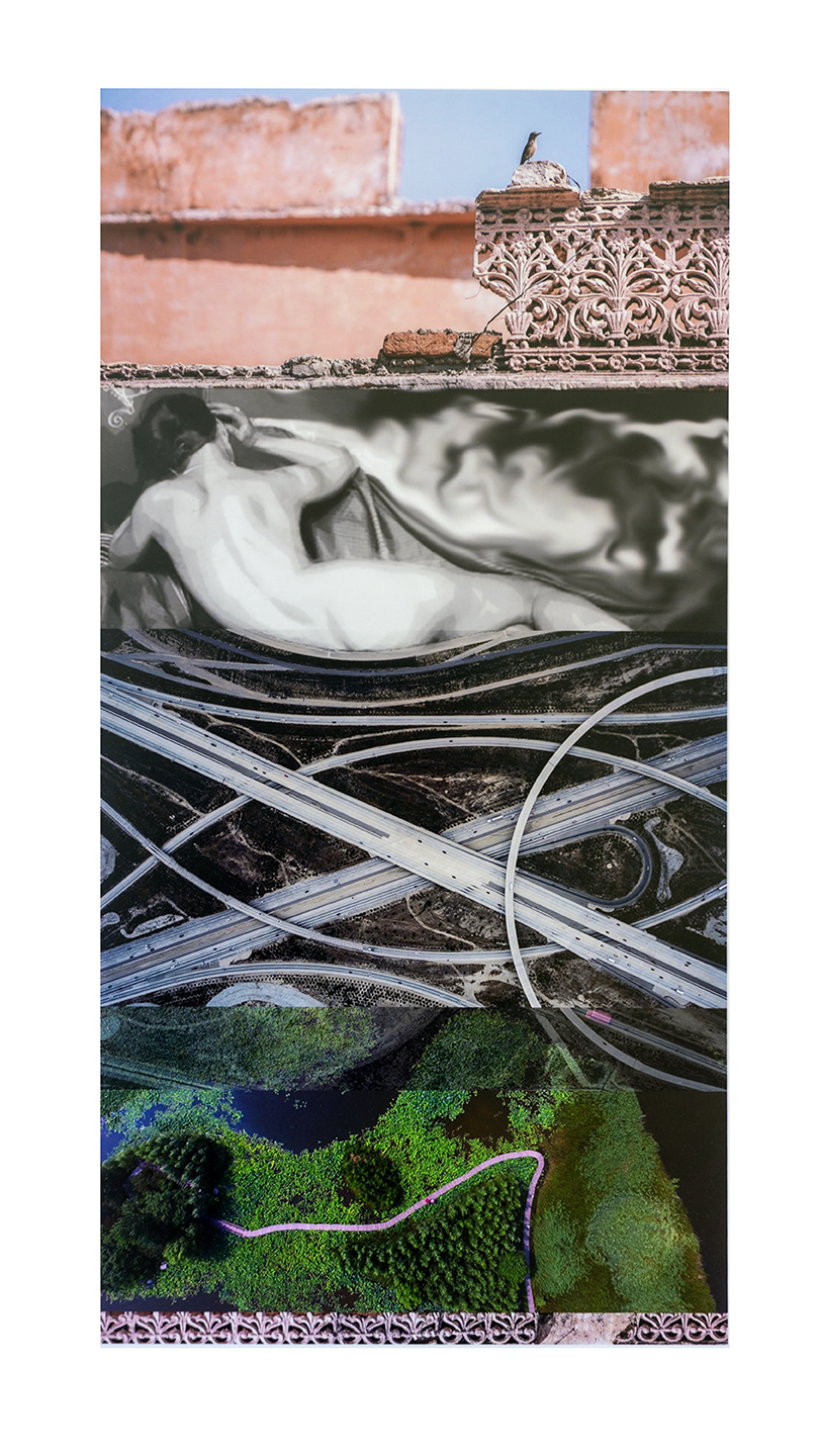 Lisa Gordon Cameron “Entangled (Pink)” digital collage, 20” W x 30” H, 2018, $225.00