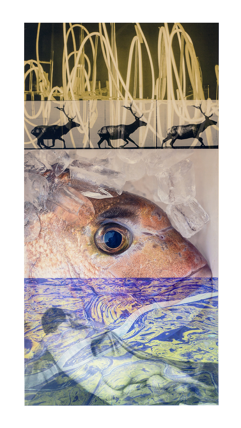 Lisa Gordon Cameron “Wanderlust” digital collage, 20” W x 30” H, 2018, $225.00 