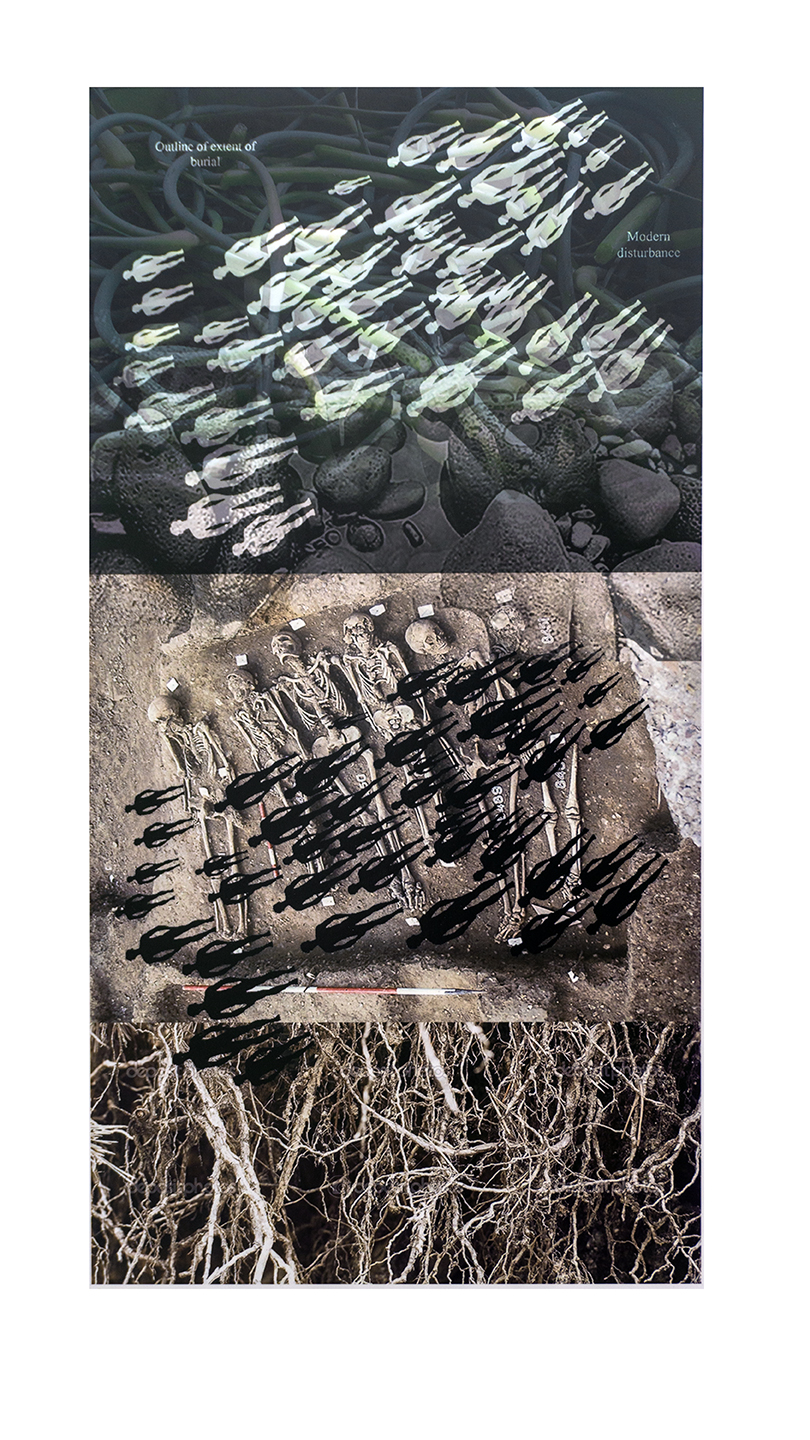 Lisa Gordon Cameron “Plague” digital collage, 20” W x 30” H, 2019, $225.00