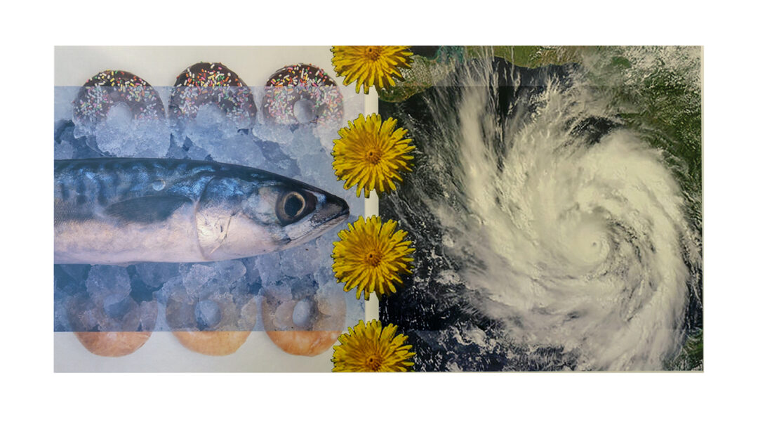 Lisa Gordon Cameron “Fresh” digital collage, 30” W x 20” H, 2018, $225.00